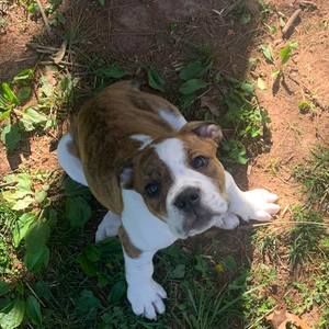 Meet your Posher, Christian